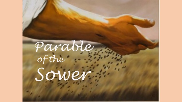 Parable of the Sower | Rev. Andra D. Sparks